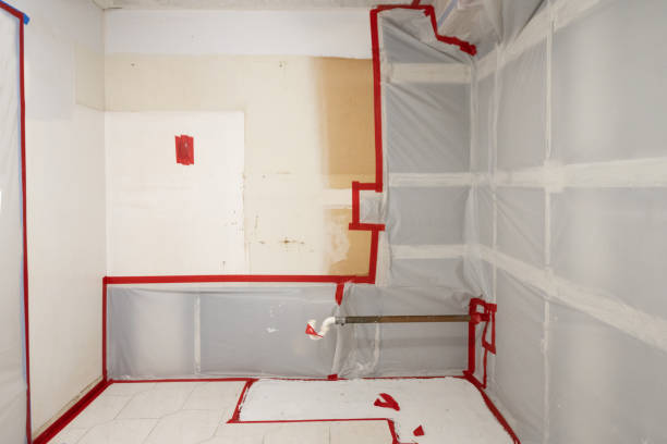 Best Real Estate Mold Inspection  in Montgomery, GA