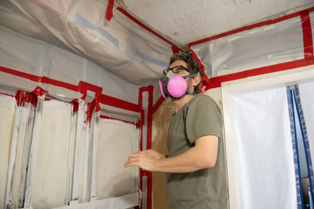 Best Black Mold Removal  in Montgomery, GA