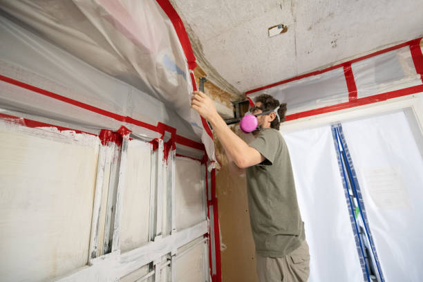 Best Mold Damage Restoration  in Montgomery, GA