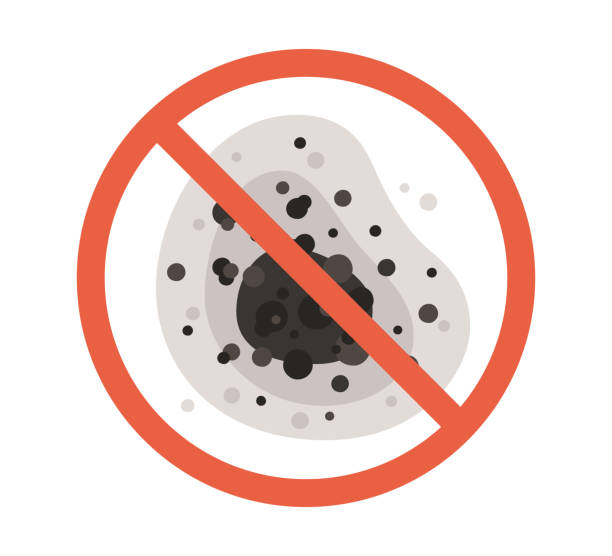 Best Mold Removal for HVAC Installations  in Montgomery, GA