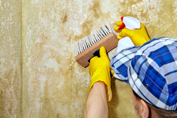 Best Industrial Mold Remediation  in Montgomery, GA