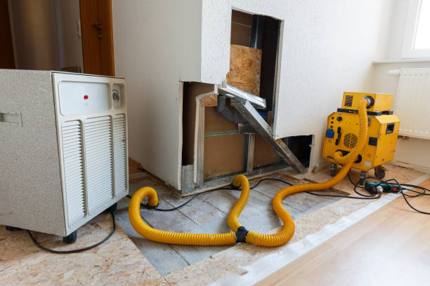 Mold Documentation for Insurance Claims in Montgomery, GA