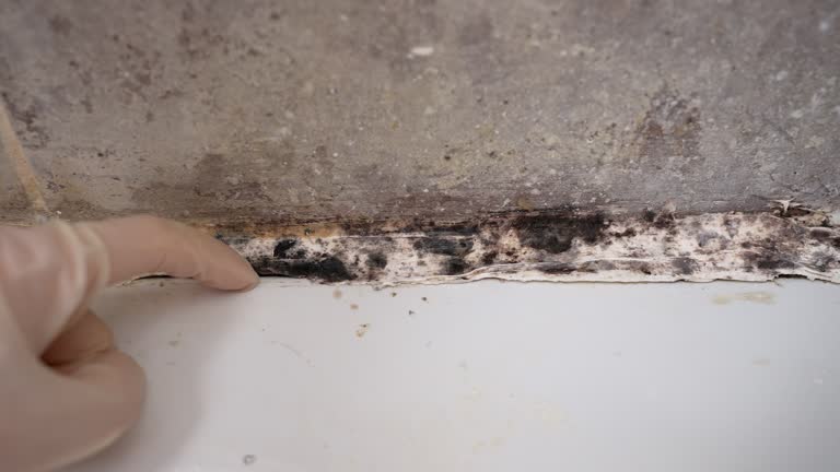 Best HVAC Mold Inspection and Cleaning  in Montgomery, GA
